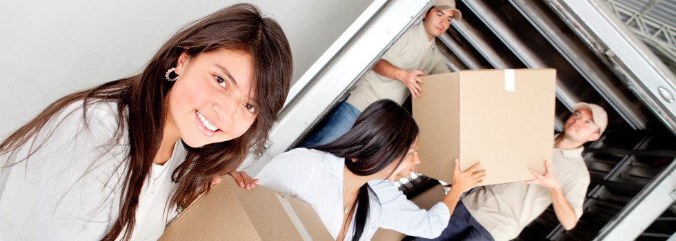 Professional Removalists Lee Point